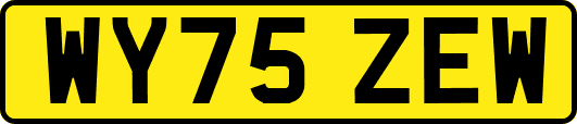 WY75ZEW