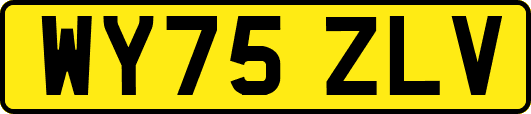 WY75ZLV