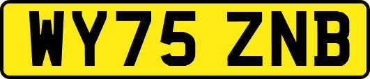 WY75ZNB