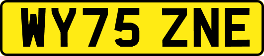 WY75ZNE