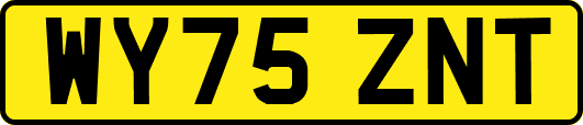 WY75ZNT