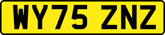WY75ZNZ