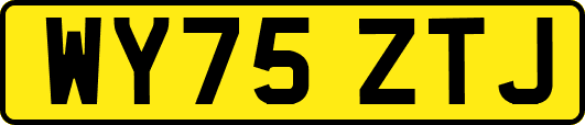 WY75ZTJ