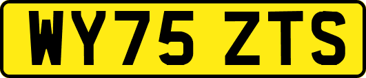 WY75ZTS