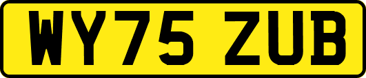WY75ZUB