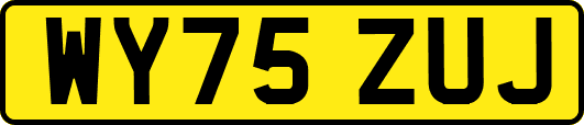 WY75ZUJ