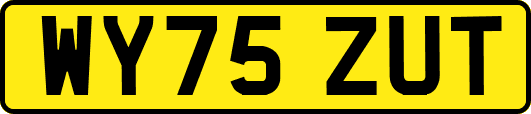 WY75ZUT