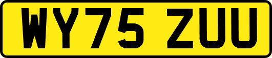 WY75ZUU