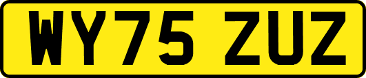 WY75ZUZ
