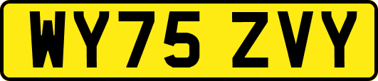 WY75ZVY