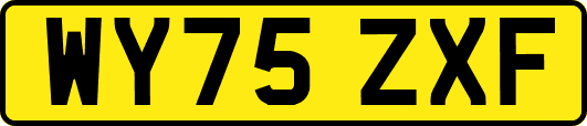 WY75ZXF