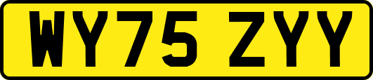 WY75ZYY
