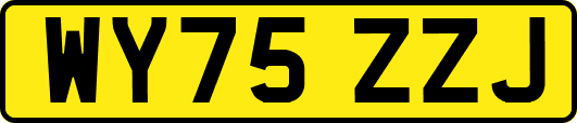 WY75ZZJ