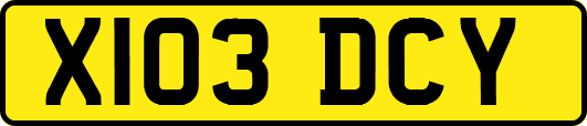 X103DCY