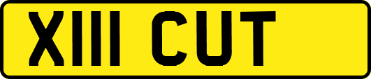 X111CUT