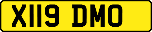 X119DMO