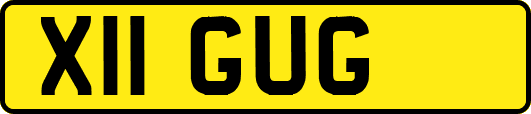 X11GUG