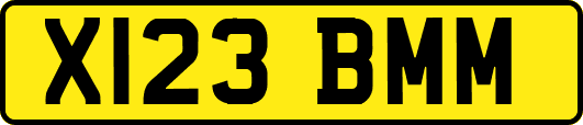 X123BMM