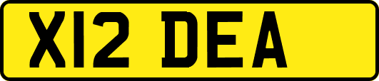 X12DEA
