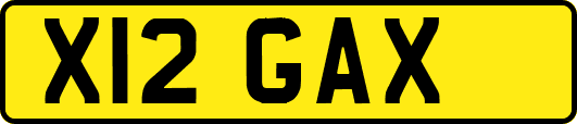 X12GAX