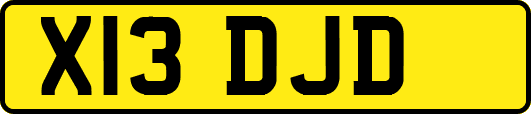 X13DJD