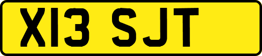 X13SJT