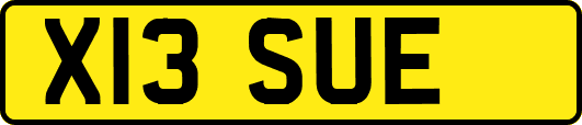 X13SUE
