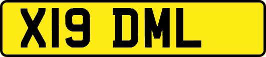 X19DML