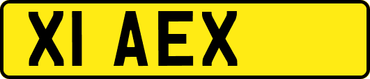 X1AEX