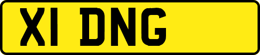 X1DNG