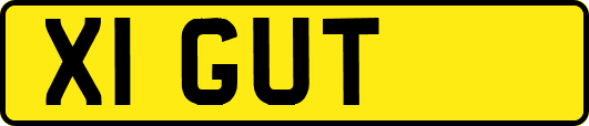 X1GUT