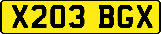 X203BGX