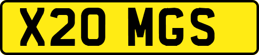 X20MGS
