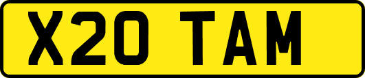 X20TAM