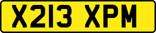 X213XPM