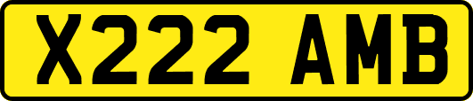 X222AMB