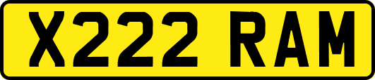 X222RAM