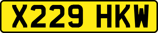 X229HKW