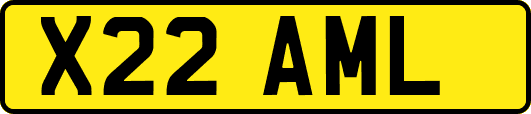 X22AML