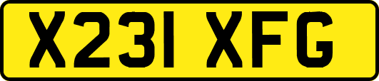 X231XFG