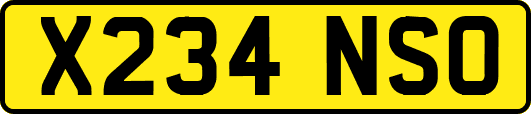 X234NSO