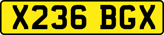X236BGX