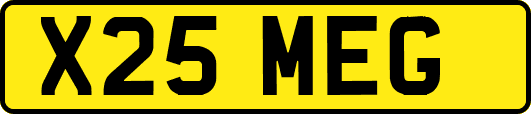 X25MEG