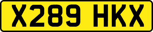 X289HKX