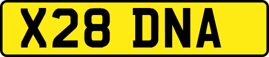 X28DNA