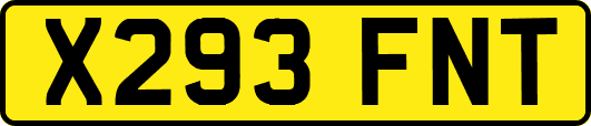 X293FNT