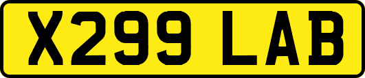 X299LAB