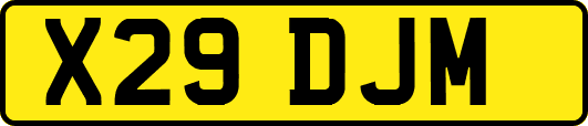 X29DJM