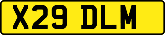 X29DLM