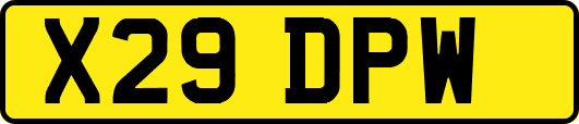 X29DPW
